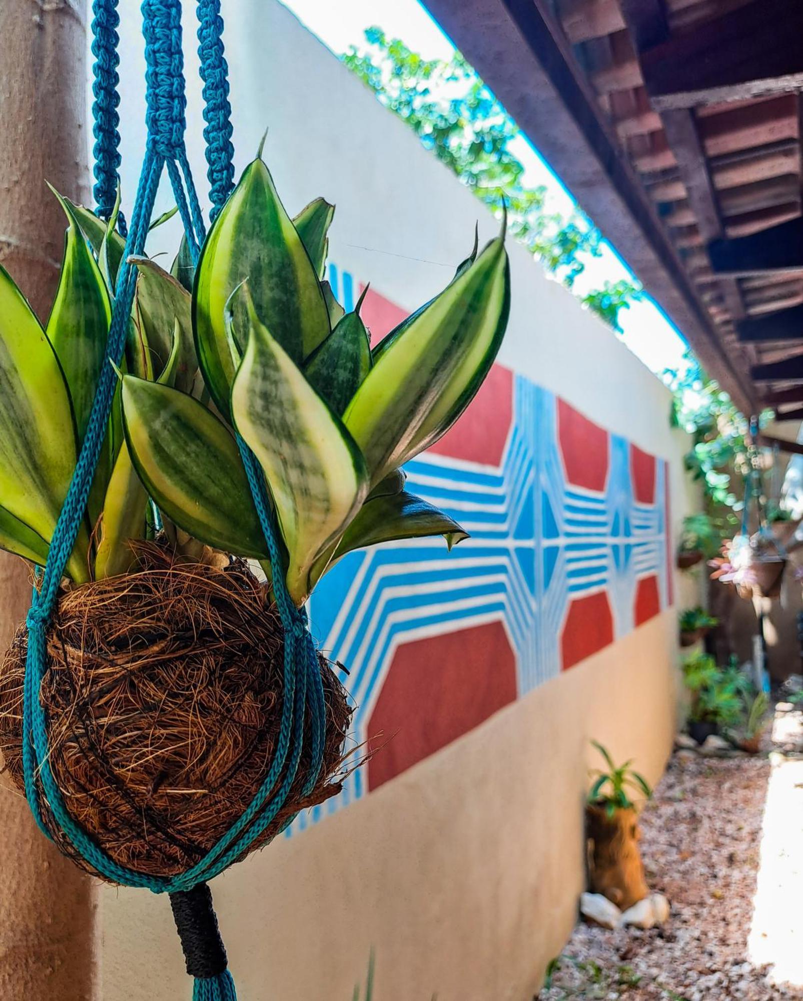 Savana Hostel Đảo Sao Jorge Ngoại thất bức ảnh